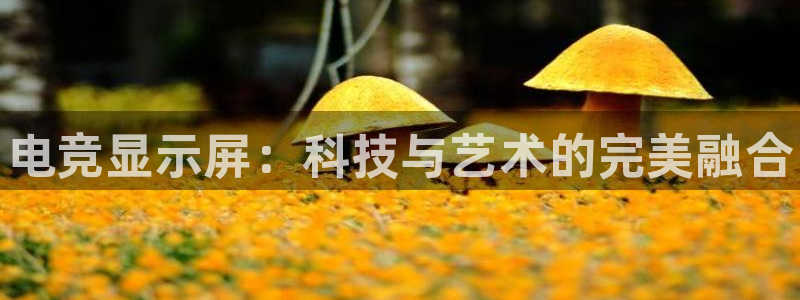 乐竞电竞网页手机点即注册43X.移动端.中国