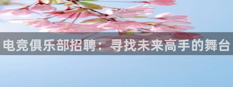 乐竞电竞延期结算