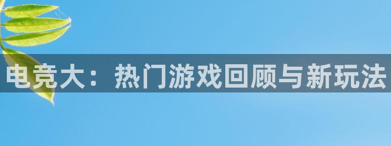 乐竞电竞结算错误：电竞大：热门游戏回顾与