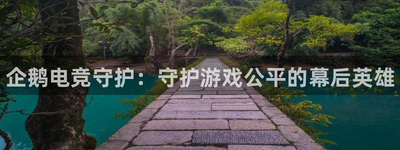 乐竞电竞网登录入口：企鹅电竞守护：守护游