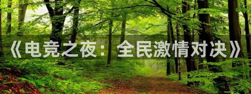 乐竞电竞体育下载：《电竞之夜：全民激情对
