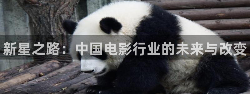 影视大全影院：新星之路：中国电影行业的未来与改变