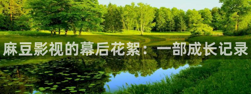 影视大全影院：麻豆影视的幕后花絮：一部成长记录