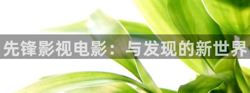 八戒电影免费观看大全影视：先锋影视电影：与发现的新世界