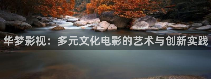 动漫大全影院：华梦影视：多元文化电影的艺术与创新实践