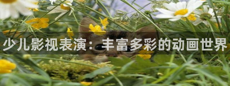 理论大全影院片理论片