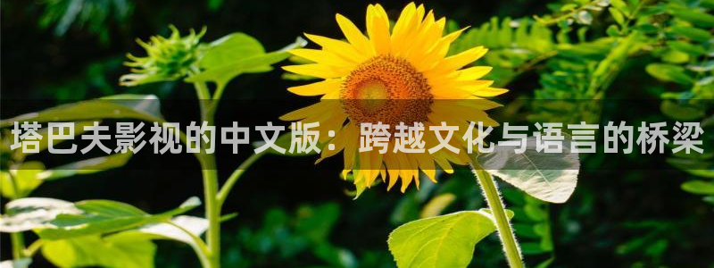 影视大全影院