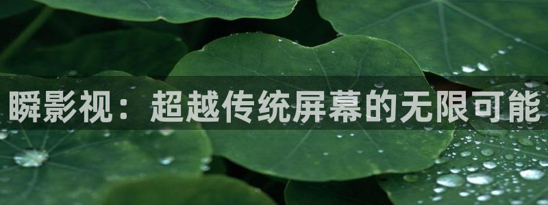 理论大全影院片理论片