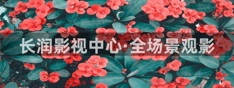 大全影院