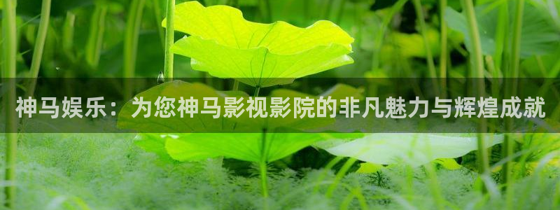 理论大全影院片理论片